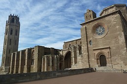 La Seu Vella (3)