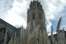 La Seu Vella (8)