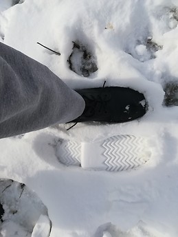 Let it snow