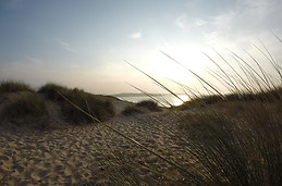 Liencres, Valdearena