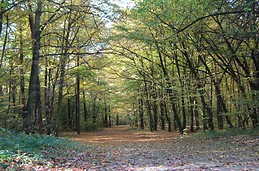 Long path to the future