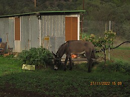 Lythrodontas, Cyprus.