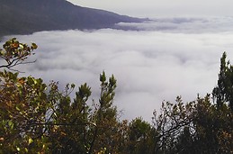 Mar de nubes en Güímar
