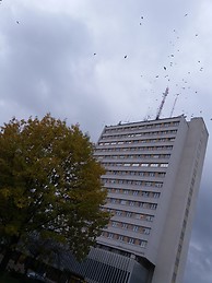 Maria Curie-Skłodowska University