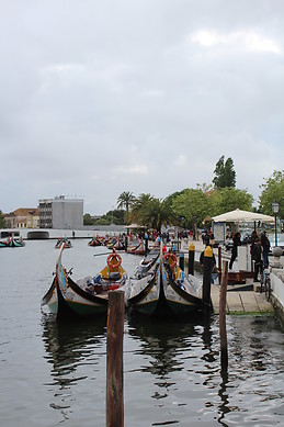 Moliceiro