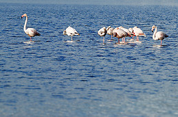 Óbidos Lagoon