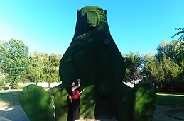 Orso Verde