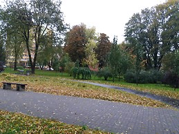 Parque ludowi