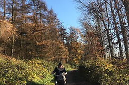 Reserva Natural Bourgoyen-Ossemeersen