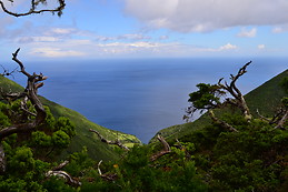 São Jorge Island, Açores