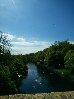 Scotland