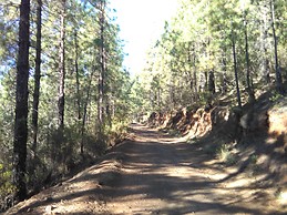Sendero en La Esperanza