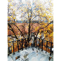 University of Coimbra