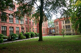 University of Sheffield
