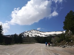 When we were going back home .we took a final picture of the mountains.