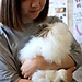 Fuyu