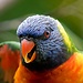 Claudiu