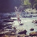 Looking for a studio for September for an internship in Trier