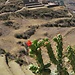 Cuzco