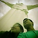 David