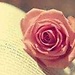 Heba