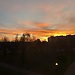 Aruca