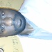 Brenton