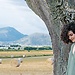 roberta