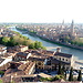 Verona