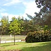 10 Best Parks