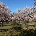 10 Best Parks