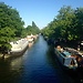 10 posti imperdibili (e non troppo turistici) a Londra