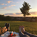 10 Things to do In Worcester