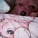 Miky