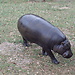 Parque natural de Cabárceno