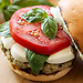 14 healthy jummy burgers