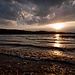 Untitled photo