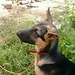 pavithra