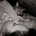 Flor
