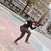 Brigi