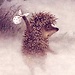 Onur