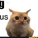 Su