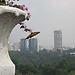 Vista de la ciudad desde la Basílica de La Virgen de Guadalupe