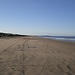 Untitled photo