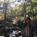 Carmen del