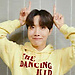 Hobi