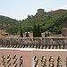 Habitaciones y apartamentos en Granada: Antares