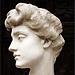 Xenia