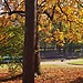 29.10.12 A bike ride around Parc de La Tete d'Or