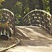 29.10.12 A bike ride around Parc de La Tete d'Or